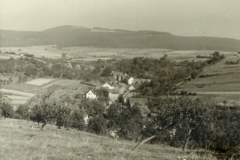 Bildergalerien BÖDEXEN