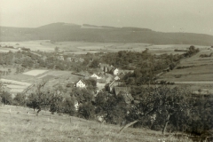 01_08 Boedexen um 1960