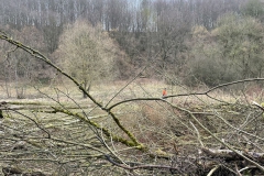 Biotop-Arbeiten-022021-28