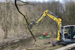 Biotop-Arbeiten-022021-9