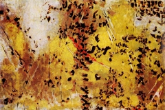 HW-Bild-Somali-inet