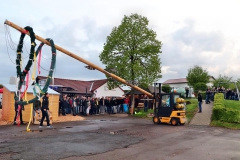 Maibaum2019-1