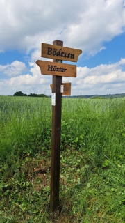 Boedexen