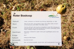 KArt-Voerden2020-17