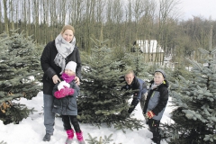 Tannenbaum1