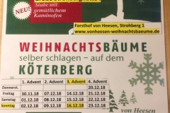 Tannenbaum4