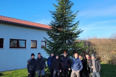 Baum-holen-01