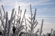 NG-Winterwonderland-2021-11