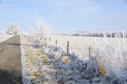 NG-Winterwonderland-2021-14