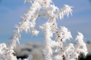NG-Winterwonderland-2021-15