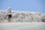 NG-Winterwonderland-2021-18