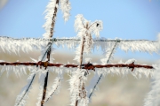 NG-Winterwonderland-2021-20
