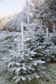 NG-Winterwonderland-2021-21