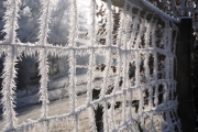 NG-Winterwonderland-2021-23