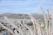 NG-Winterwonderland-2021-6