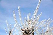 NG-Winterwonderland-2021-7