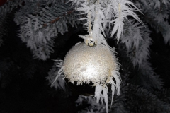 NG-Winterwonderland-2021-1